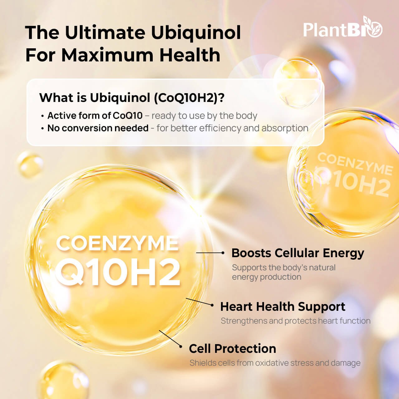 QH Ubiquinol 50mg Capsules 60”s - Image 2