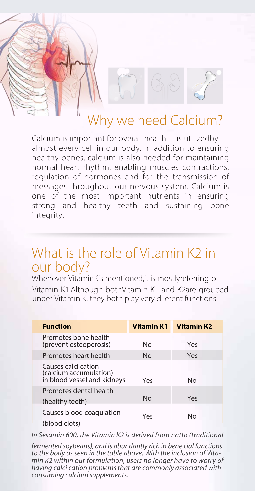 Therabio Sesamin 600 - Plant Based Calcium D3 K2 Powder Supplement (Kalsium) (30 Sachets/Box) - Image 3