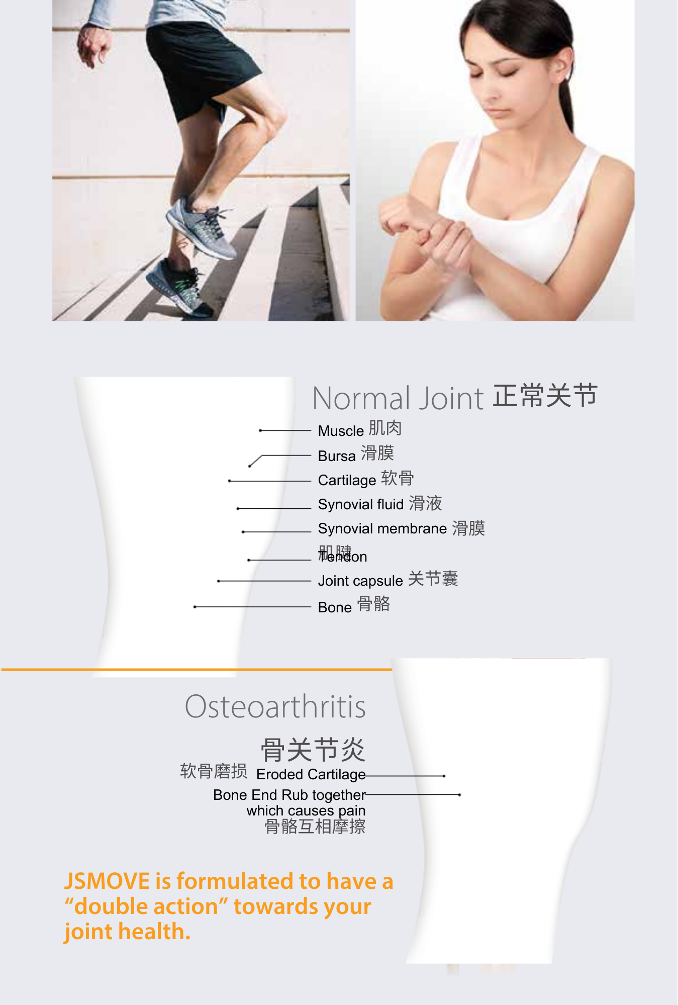 Therabio JSmove - Type II Collagen Joint Repair Supplement (Lutut, Sendi) (30 Sachets/Box) - Image 3