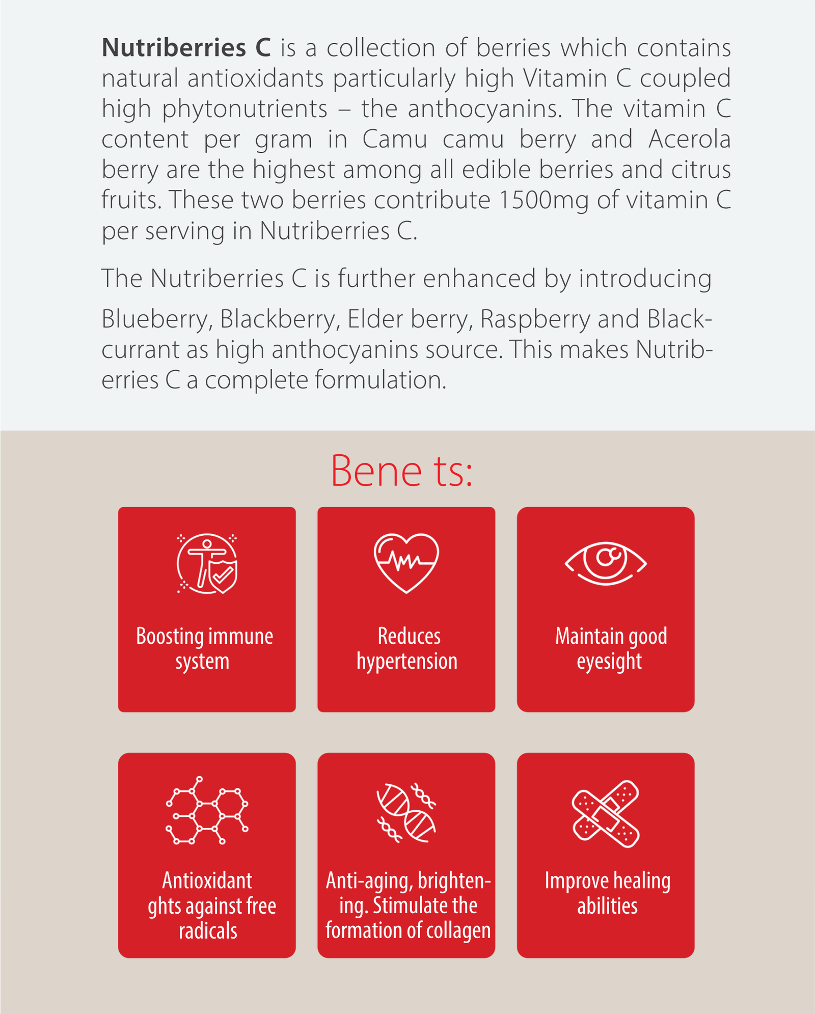 Therabio NutriBerries C - Natural Berries Vitamin C Immune Booster Supplement (30 Sachets/Box) - Image 3