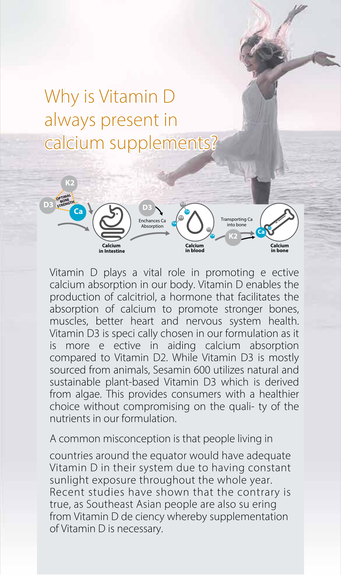 Therabio Sesamin 600 - Plant Based Calcium D3 K2 Powder Supplement (Kalsium) (30 Sachets/Box) - Image 4