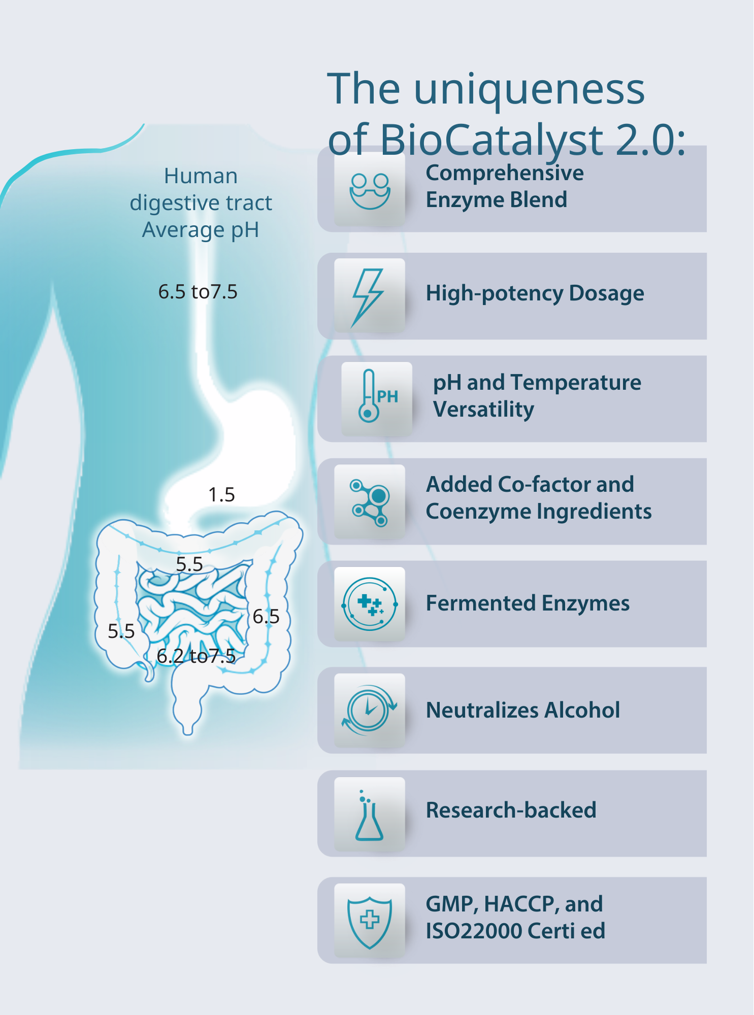 Therabio BioCatalyst+ 2.0 - Fruits and Vegetable Powder Mix (30sachets x 2.2g) - Image 4