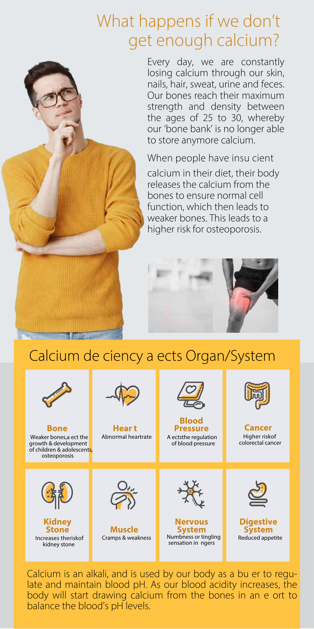 Therabio Sesamin 600 - Plant Based Calcium D3 K2 Powder Supplement (Kalsium) (30 Sachets/Box) - Image 5