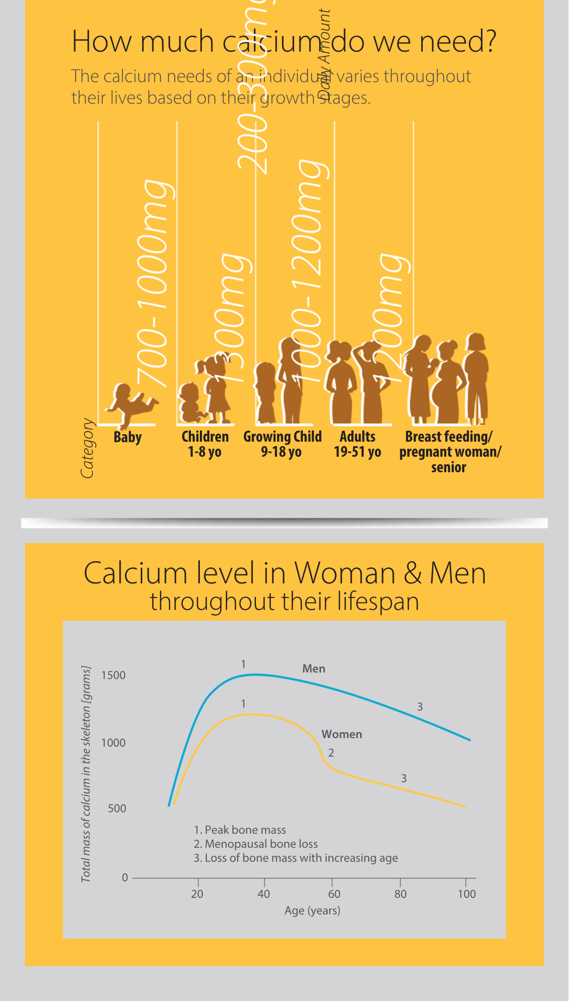 Therabio Sesamin 600 - Plant Based Calcium D3 K2 Powder Supplement (Kalsium) (30 Sachets/Box) - Image 6