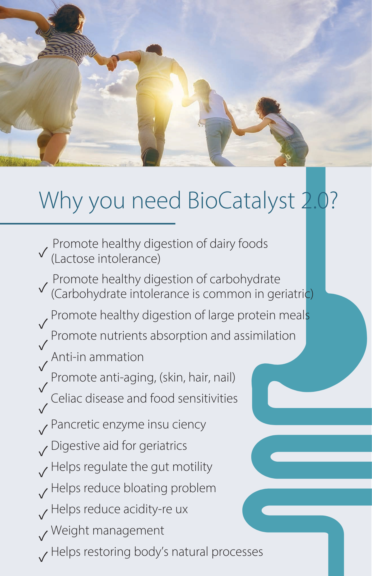Therabio BioCatalyst+ 2.0 - Fruits and Vegetable Powder Mix (30sachets x 2.2g) - Image 6