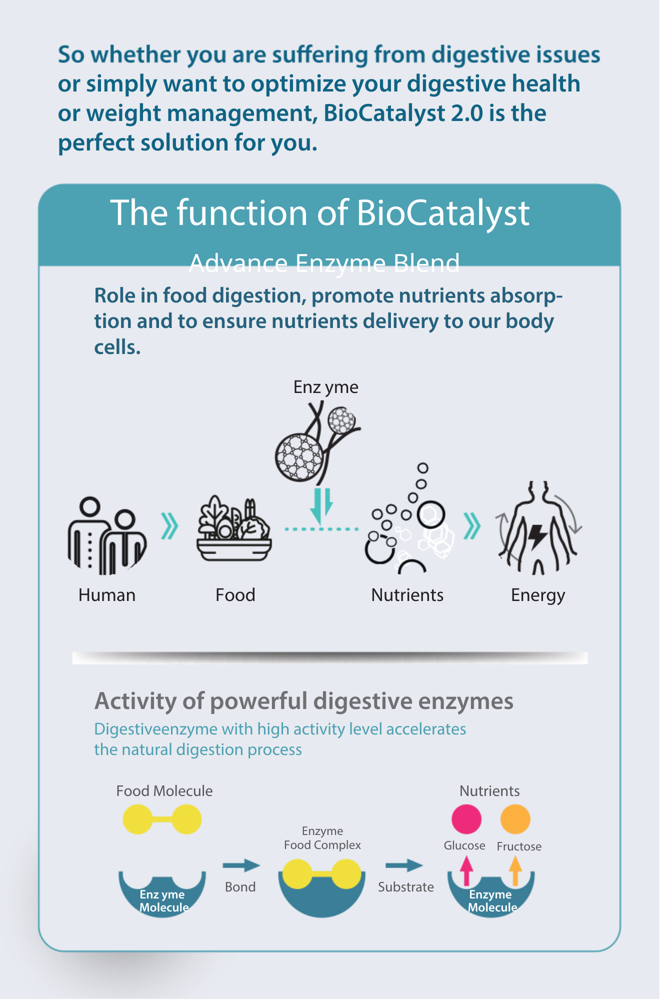 Therabio BioCatalyst+ 2.0 - Fruits and Vegetable Powder Mix (30sachets x 2.2g) - Image 7