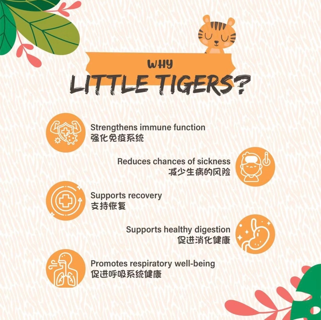 Bio Tree Little Tigers Botanical Beverage Mix Blackcurrant & Tiger Milk Mushroom (15's x 20g) - Image 3
